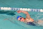 Swimming vs Bentley  Wheaton College Swimming & Diving vs Bentley College. - Photo by Keith Nordstrom : Wheaton, Swimming & Diving